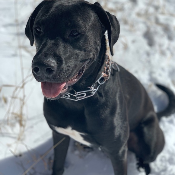 Welcome to my closet!! Enjoy a variety of styles🔥 - Picture 4 of 8